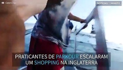 Jovens andam sob shopping com teto de vidro e aterrorizam clientes