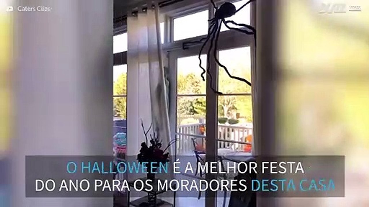Família decora casa inteira para o Halloween