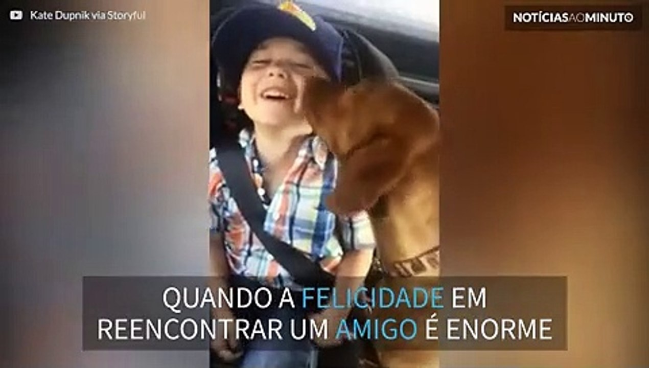 Este cão está realmente muito feliz em ver seu dono