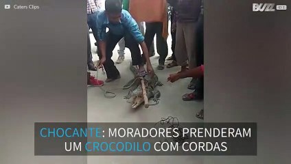 Crocodilo castigado por moradores locais após atacar homem