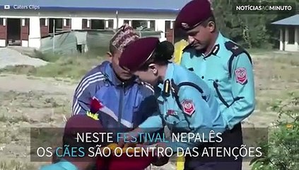 Polícia no Nepal venera cães de serviço