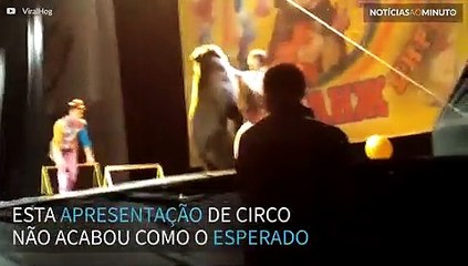 Urso ataca treinador em apresentação de circo
