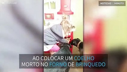 Criança põe coelho morto em forno de brinquedo