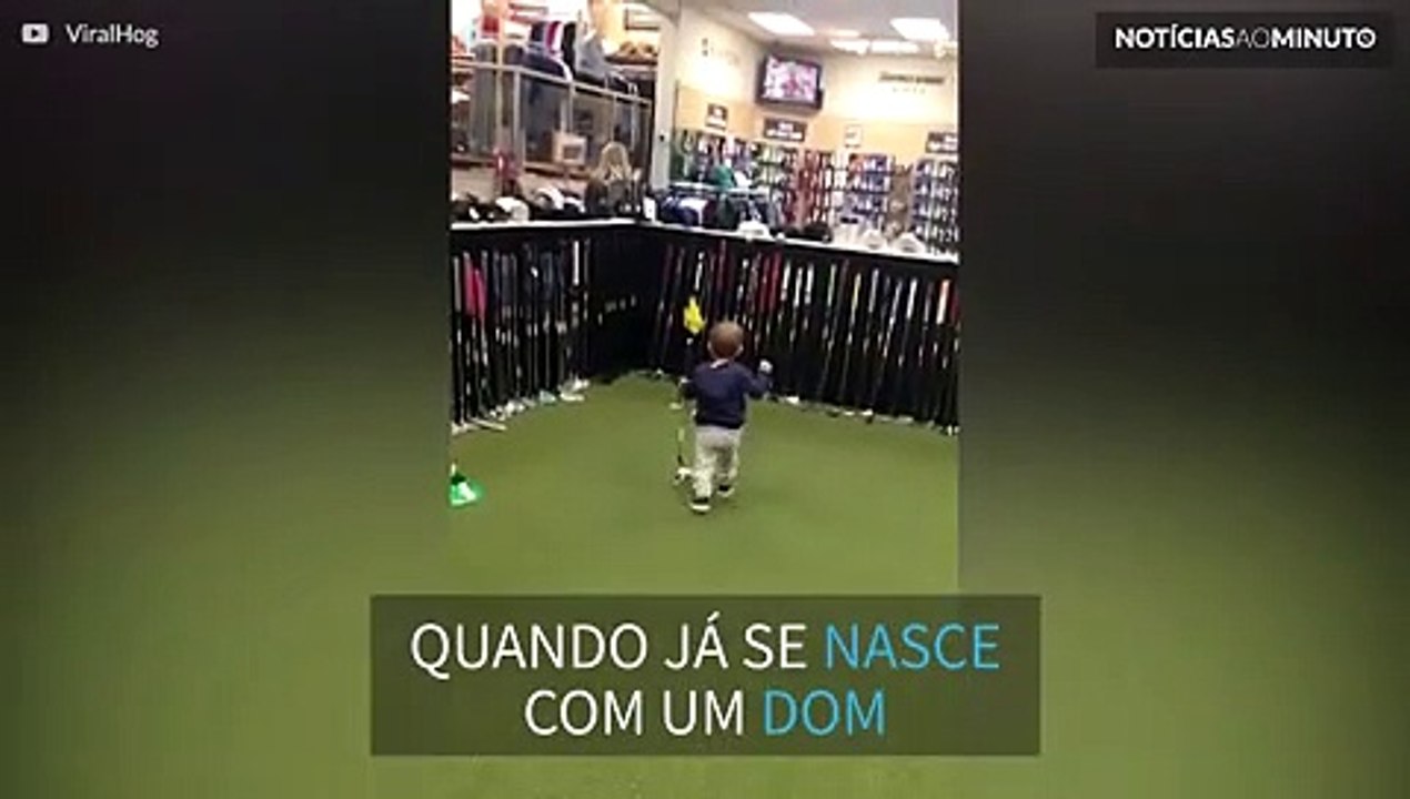 Bebê golfista acerta bola em uma tacada!