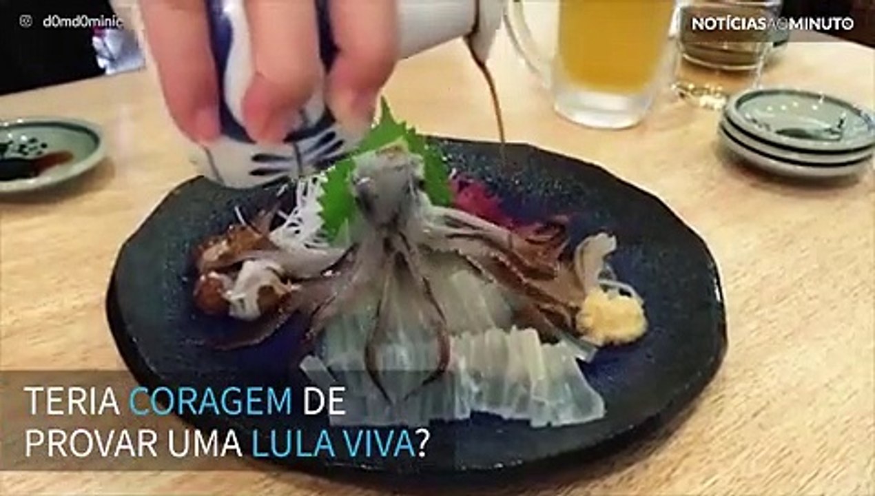 Teria coragem de comer uma lula viva?