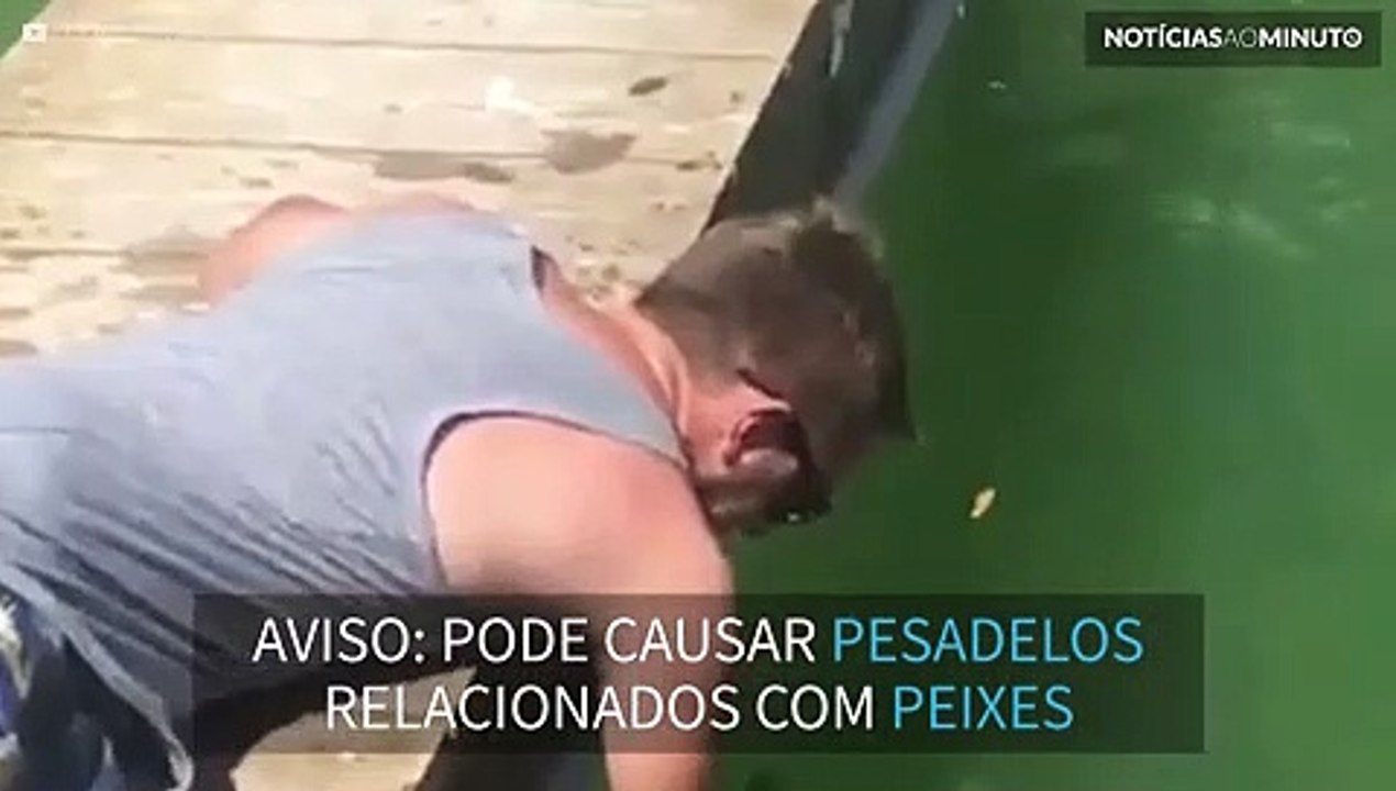 Peixe gigante engole braço para tentar roubar comida!