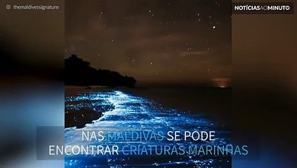 "Mar de Estrelas" existe nas Maldivas