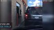 Já viu um cão fazer pedido no drive-thru?