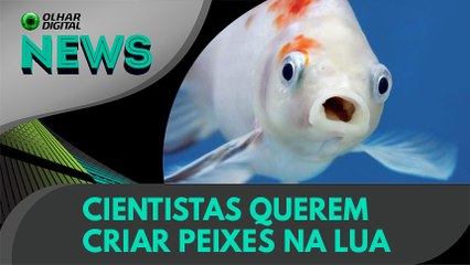 Ao Vivo | Cientistas querem criar peixes na Lua | 03/03/2021 | #OlharDigital