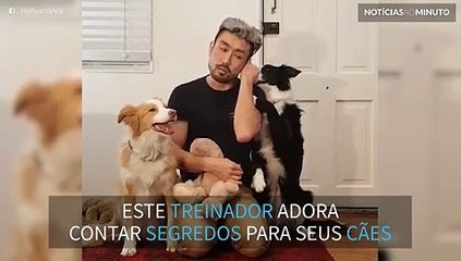 Dono conta segredos para seus cães!