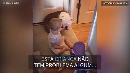 Bebê faz bagunça e culpa cadela em vídeo fofo!