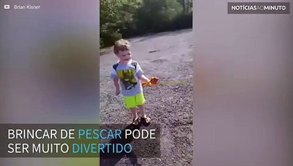 Cobra ataca peixe de brinquedo e criança não segura as lágrimas