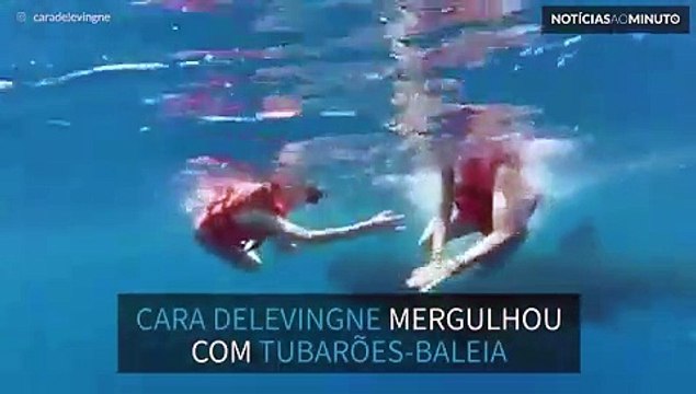 Cara Delevingne nada com tubarões-baleia no México