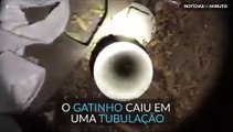 Bombeiros fazem resgate impressionante de gatinho. Assista.