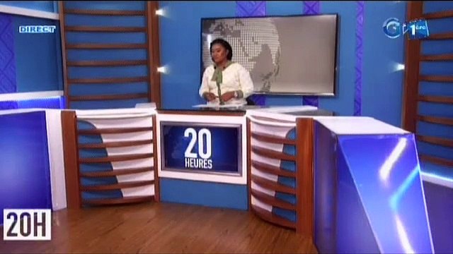 RTG/ Audition du Ministre de l’agriculture au Conseil Économique, Social et Environnemental (CESE)