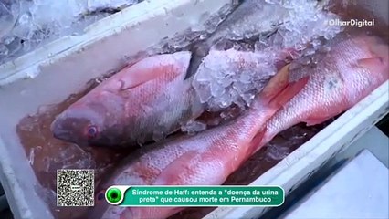 Síndrome de Haff- entenda a -doença da urina preta- que causou morte em Pernambuco