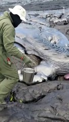 Geologist Collect Lava Sample From a Volcano