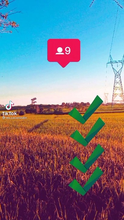 please  like and follow mi in my tiktok acc