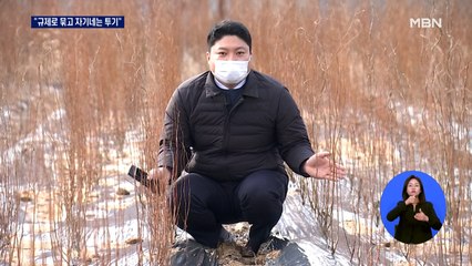 LH 땅투기 지역 주민들 "온갖 규제로 묶더니 자기네들은 투기"