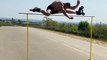Guy Performs High Jump While Wearing Roller Skates
