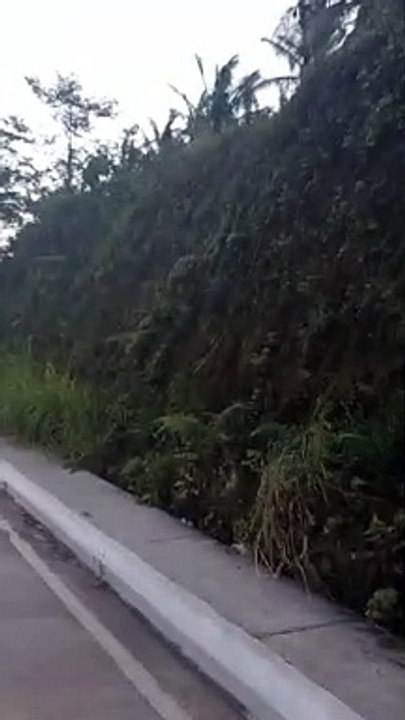 Jogging ulit (kalakas ng hangin)