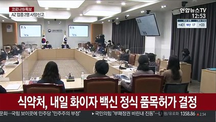 식약처, 내일 화이자 백신 정식 품목허가 결정