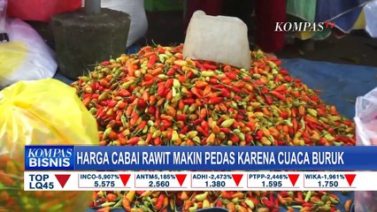 Cuaca Buruk, Harga Cabai Rawit Kian Pedas, Cek Harga Per Kilonya!