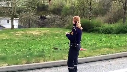 Norveç'te polis özel görevde
