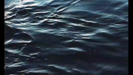 The Bloodhound movie Clip - Just a bad dream