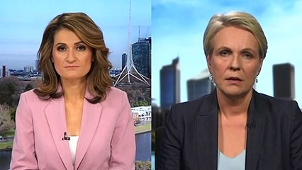 Labor criticises PM for ruling out inquiry into case