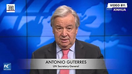 UN chief calls for protection of forests, wildlife
