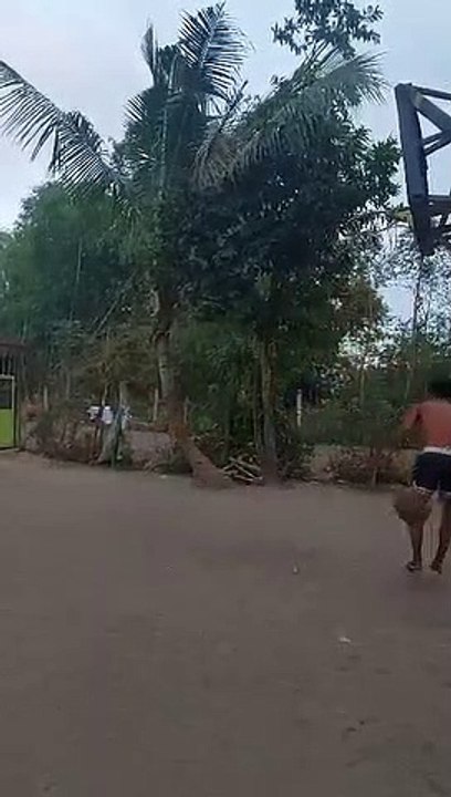 dunk