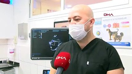 Evcil hayvanlara pasaport ve mikroçip zorunluluğu getirildi