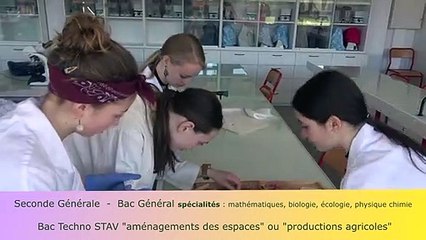 bac technologique et bac général