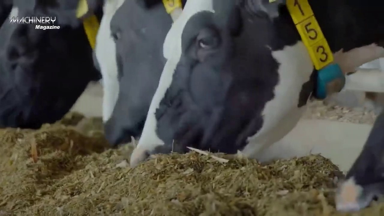 Amazing Modern Automatic Cow Farming Technology - Fastest Feeding, Cleaning and Milking Machines