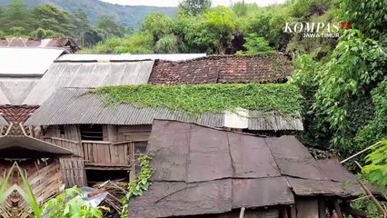 Puluhan Ternak Mati Diserang Hewan Liar