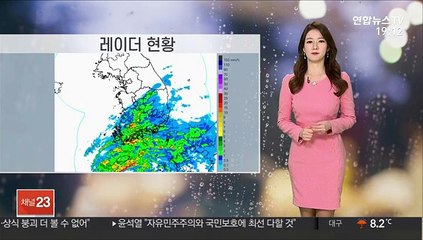 [날씨] 밤사이 남부 비 그쳐…내일 경칩, 낮 포근