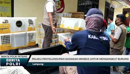 Penyelundupan Burung Ilegal Digagalkan Polisi