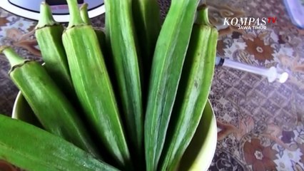 Okra dan Kunyit Jadi Obat Herbal Pencegah Kanker