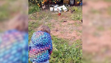 Eva González y Cayetano Rivera están de celebración, su hijo cumple 3 años