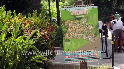 Los Angeles Zoo visited by our teammate _ USA _ Team WildfilmsIndia