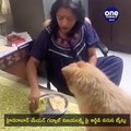 #rgv #gadwalvijayalakshmi Hyderabad  kotta mayour gadwal vijaya lakshmi gurinchi Rgv Tweets - video viral