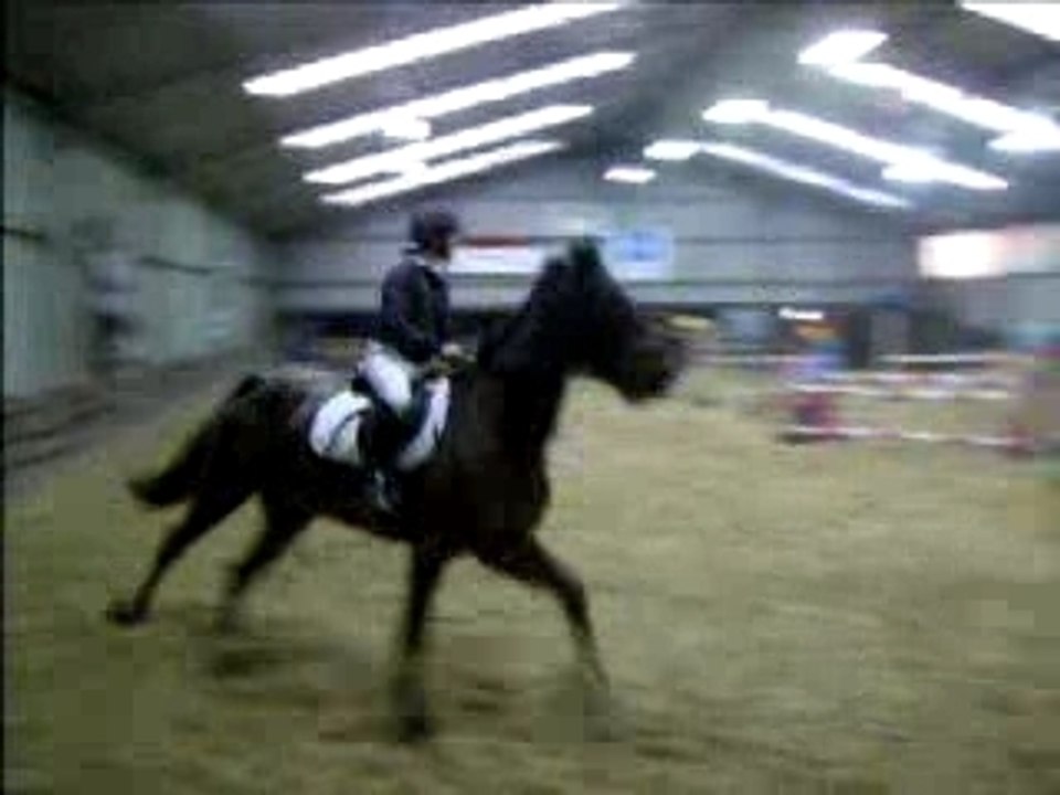 Golden 9O-1MOO