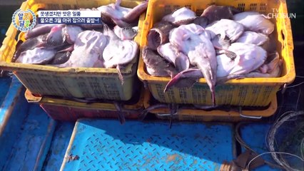 못생겨도 맛은 일품! 제철 음식 ‘활 아귀 요리’ TV CHOSUN 20210304 방송