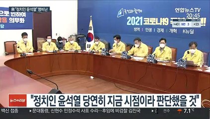 윤석열 때리는 與 "정치검찰 끝판왕…야당발 기획 의심"