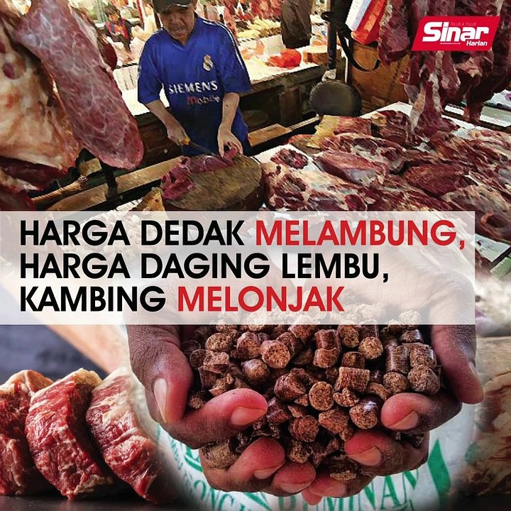 Harga Daging Lembu Tempatan