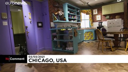Des pingouins en visite dans les décors de "Friends"