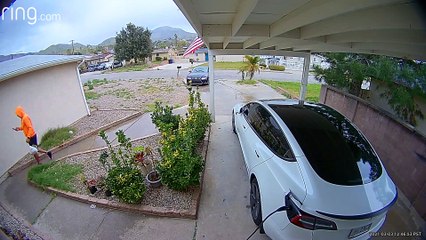 Delivery Driver's Runaway Lexus Rolls into Garden
