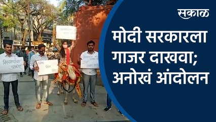 मोदी सरकारला गाजर दाखवा; अनोखं आंदोलन  | Students |  Pune |  carrot agitation | modi government