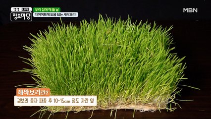 미적 아름다움은 덤! 건강을 되찾은 다이어트! ◟(∗❛ᴗ❛∗)◞